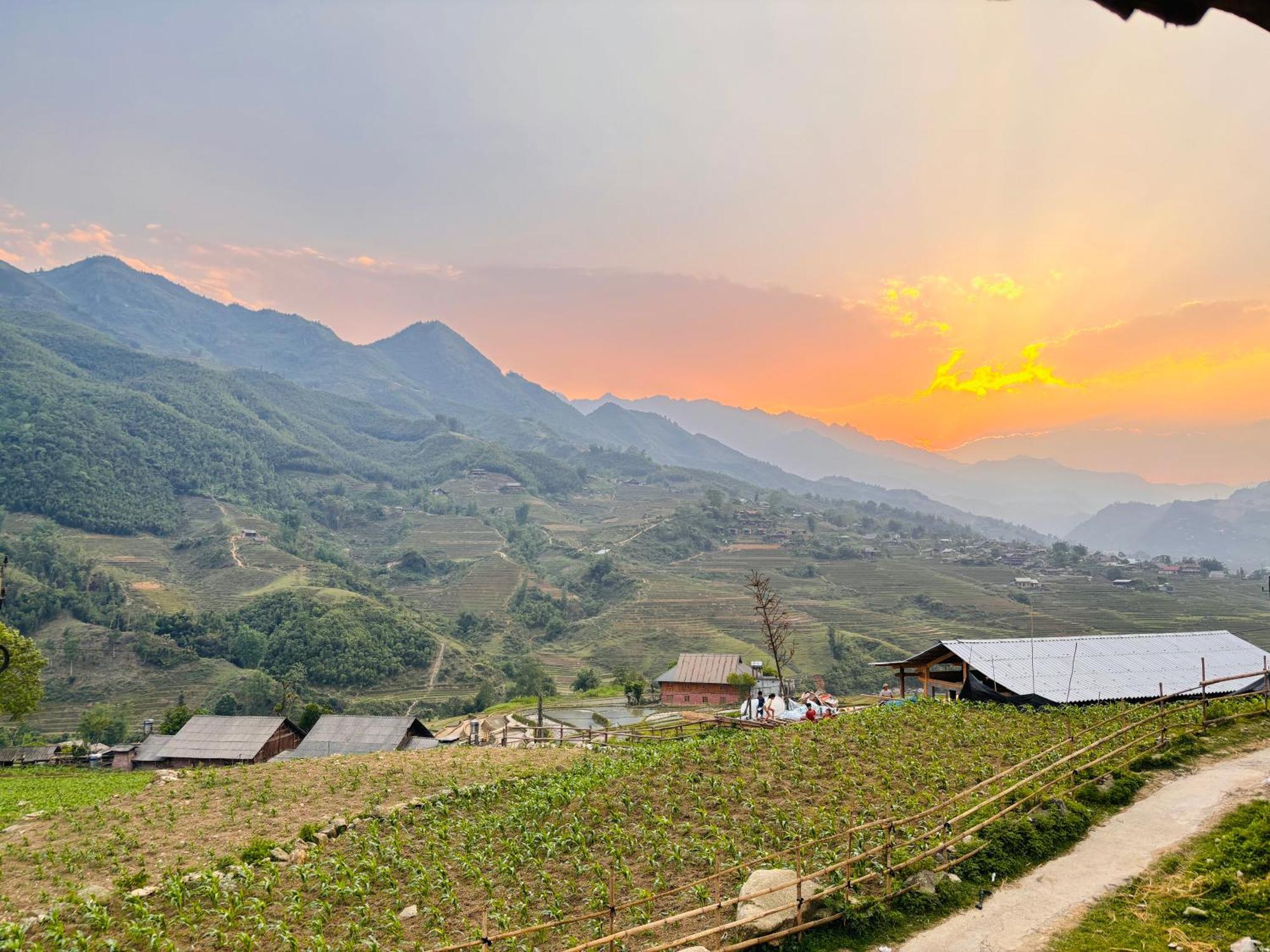 Homestay Tranquilla Sa Pa