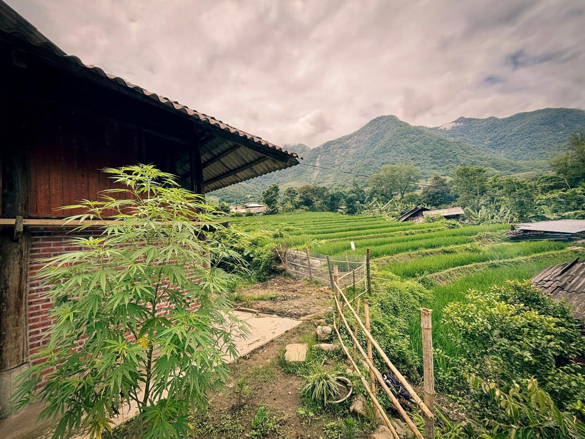 Tranquilla Homestay