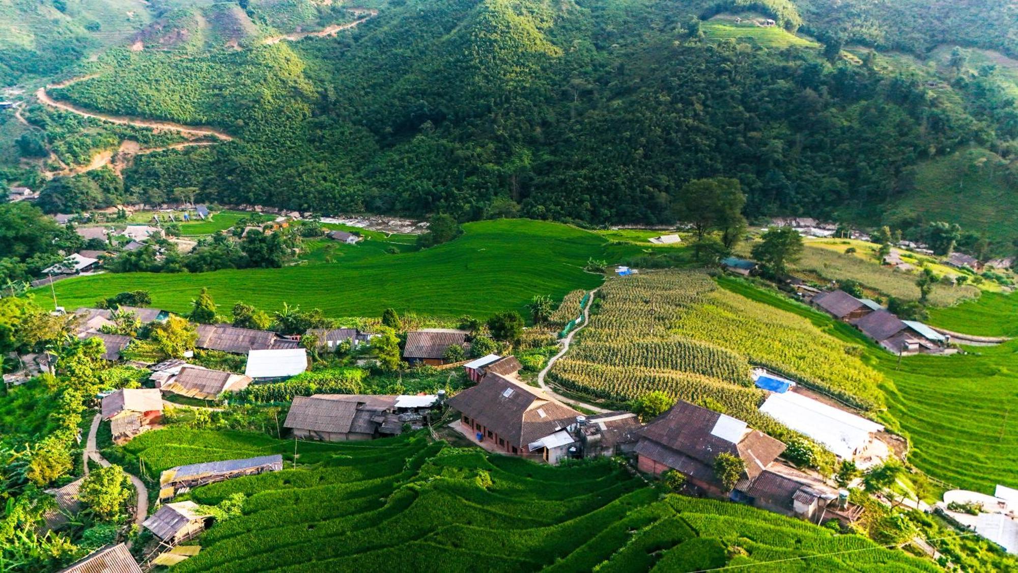 Homestay Tranquilla *
