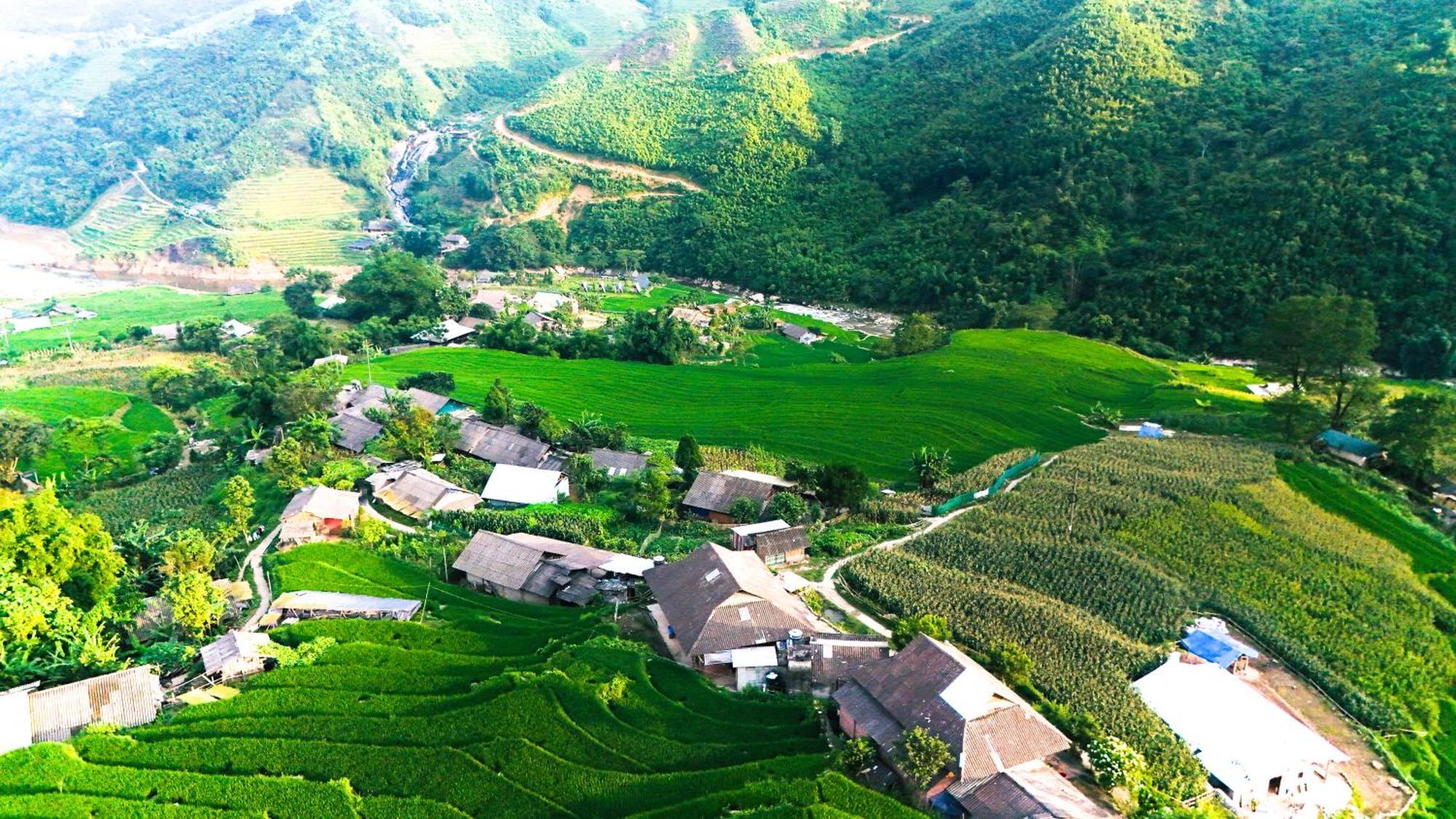 Homestay Tranquilla *